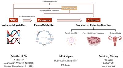 Investigating the metabolomic pathways in female reproductive endocrine disorders: a Mendelian randomization study